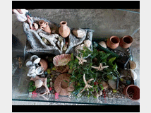 acquario-per-tartarughe-completo-di 