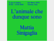 lanimale-che-dunque-sono 