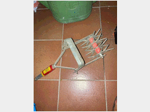 frangizolle-wolf-prezzo-eur2500-frangizolle 