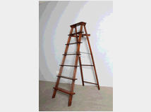 antica-scala-da-biblioteca 