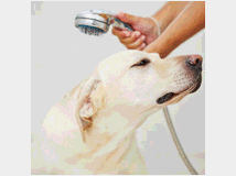 attivita-commerciali-a-milano-e 