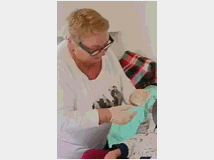 assistenza-anziani-convivente-per 