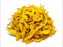 fiori-di-girasole-prezzo-eur100 