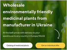 vendita-di-piante-medicinali-all039ingrosso 