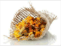 calendula-prezzo-eur100-vendita-di 