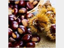 ippocastano-prezzo-eur100-trattabili-vendita 