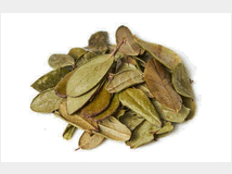 mirtillo-rosso-prezzo-eur100-vendita 