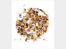 bobina-a-trifoglio-prezzo-eur6000 