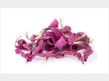 echinacea-prezzo-eur100-la-societ 
