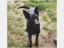 in-regalo-una-mamma-per 