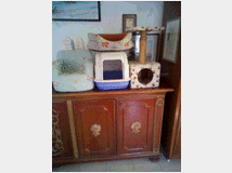 Attrezzature e accessori per animali