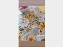 serri-cartomante-gitana-consulti-d 