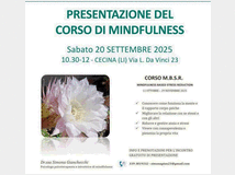 corso-corso-di-meditazionemindfulness 