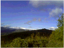 terreno-coltivabile-3250mq-prezzo 