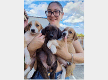 in-regalo-cuccioli-di-2 