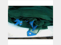telo-8x10-raccolta-olive-antispina 
