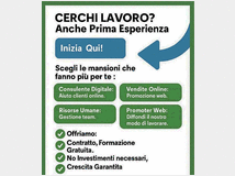amp-milano-ltd-azienda-operante 